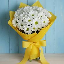 Букет цветов из:  Хризантемы в Долгопрудном