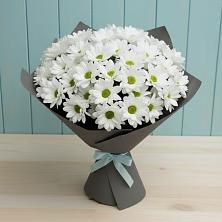 Букет цветов из:  Хризантемы в Долгопрудном