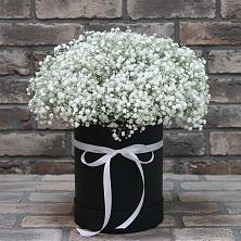Цветочная композиция из Гипсофила в шляпной коробке в Долгопрудном
