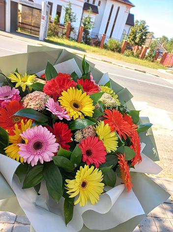 Букет цветов из: Герберы в Долгопрудном